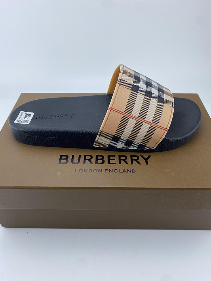 BUR SLIDES BURS-02